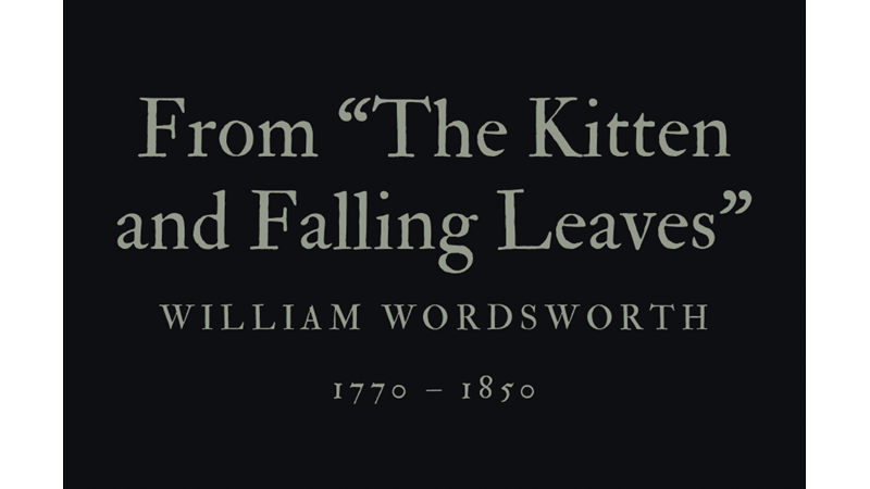 FROM “THE KITTEN AND FALLING LEAVES” - WILLIAM WORDSWORTH