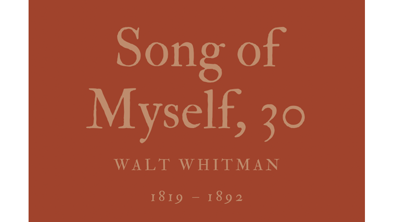 SONG OF MYSELF, 30 - WALT WHITMAN