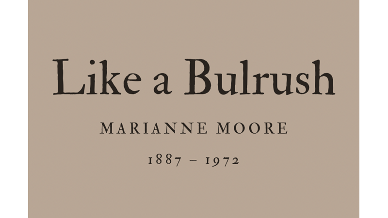LIKE A BULRUSH - MARIANNE MOORE