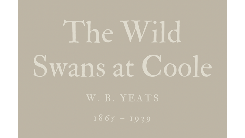THE WILD SWANS AT COOLE - W. B. YEATS