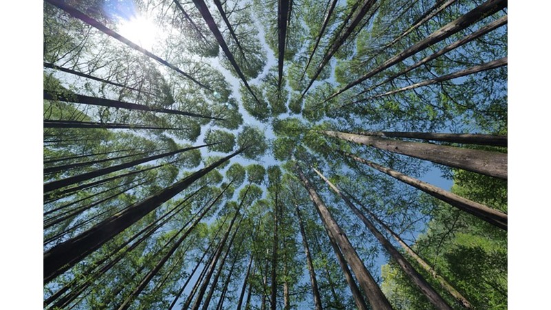 Önemli Miktarda Ganimet