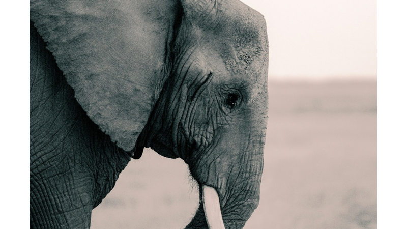 GÖZLERDEKİ HÜZNÜ GÖREBİLEN İNSANLAR İKİYE AYRILIR HAREKETE GEÇENLER VE GÖRMEZDEN GELENLER