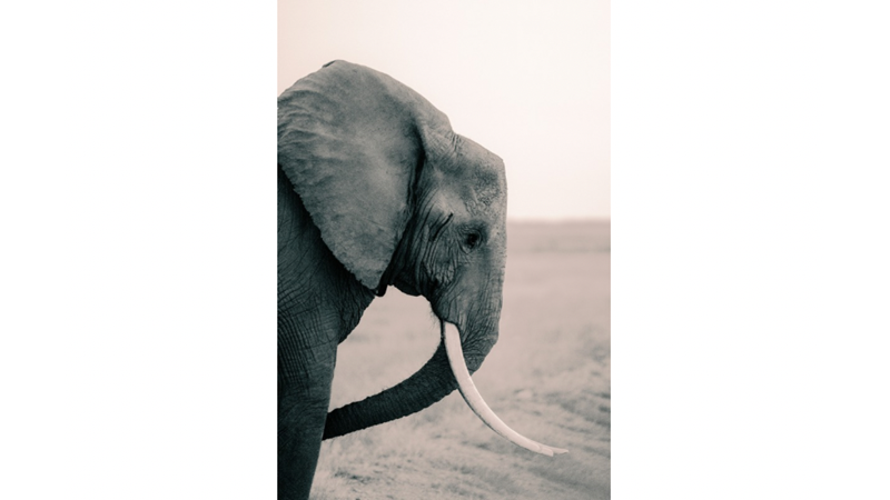 GÖZLERDEKİ HÜZNÜ GÖREBİLEN İNSANLAR İKİYE AYRILIR HAREKETE GEÇENLER VE GÖRMEZDEN GELENLER