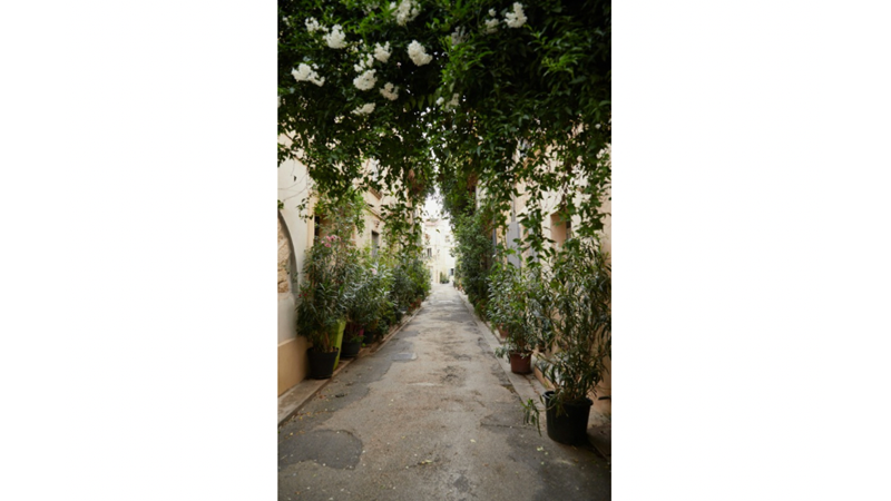 ÇİÇEKLERİN BAŞIMIZIN ÜSTÜNDE MECAZEN DEĞİL GERÇEKTEN BULUNMASI: ÇİÇEKLERİN YUKARIDAN AŞAĞI SARKTIĞI YAPILAR ÇOĞALSIN