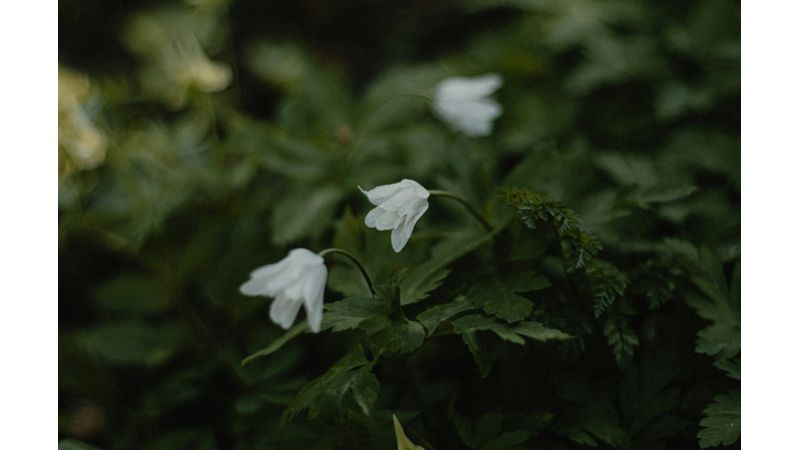 KÖTÜ HUYLARIMDAN İKİSİ: DOLAP ÖNÜNDE SAATLER GEÇİREBİLMEK VE KOMBİN HUZURSUZLUĞU