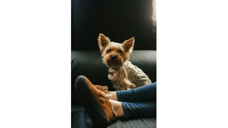 ÇALIŞIRKEN TERLİK VEYA EV AYAKKABISI GİYMEK SADECE HASTANELERDE OLMAMALI BENCE: RAHAT AYAKKABILARI NORMALLEŞTİRELİM