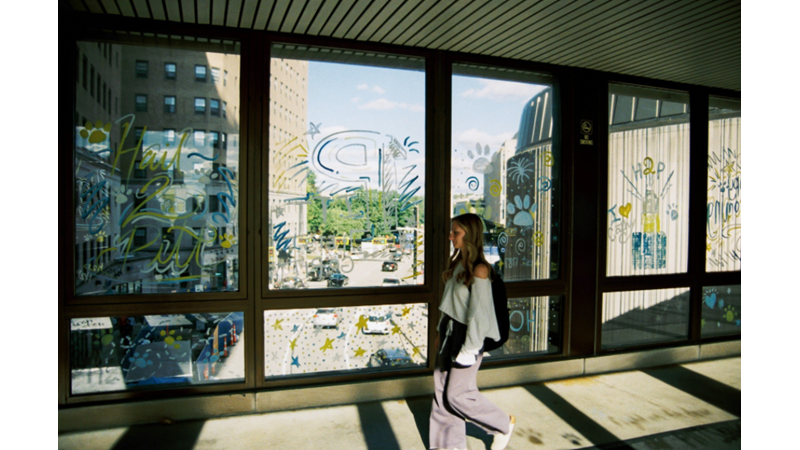 BENCE OKULLARDA ÖĞRENCİLERİN BOYAMA YAPABİLECEKLERİ ALANLAR OLMALI: KALICI VEYA GEÇİCİ OLARAK BOYAMA YAPABİLECEKLERİ YERLER