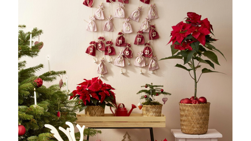 YILBAŞINDA SİZİ İYİ VE HUZURLU HİSSETTİRECEK UFAK DETAYLAR: YILBAŞI AĞACINDAN SICAK ÇİKOLATAYA KADAR