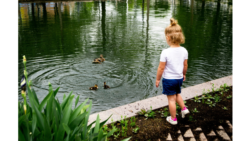KİME SORARSAM SORAYIM YARISINDAN BU CEVABI ALIYORUM: ÇOCUKLAR NEDEN İNFLUENCER OLMAK İSTİYORLAR ACABA?