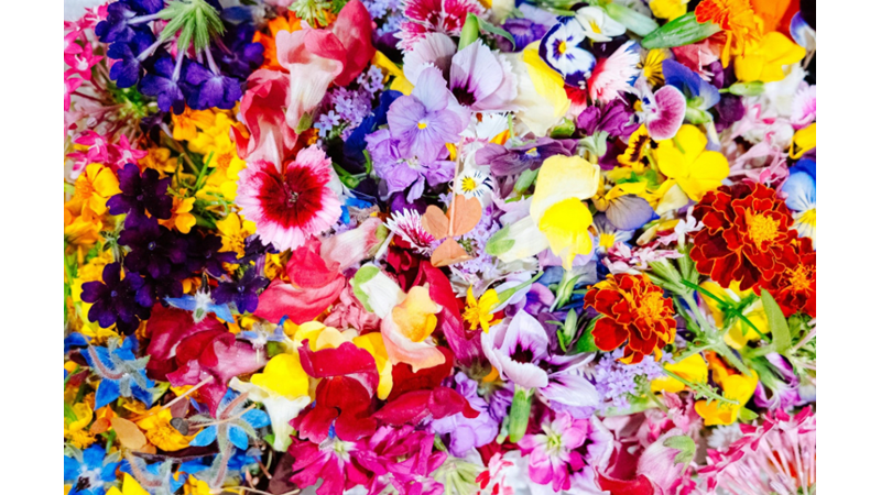 WE ARE FASCINATED WHEN WE REALIZE IT: WITHOUT US REALIZING IT, NATURE CONTINUES TO CYCLE ON ITS OWN