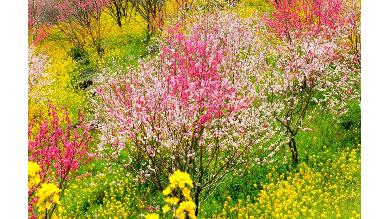 HAVA O KADAR SOĞUKTU Kİ BİR ARA BAHARIN GELEBİLECEĞİ İHTİMALİNİ UNUTMUŞTUM