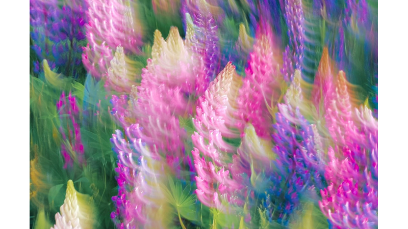 I WISH SOMEONE HAD WISHED ME A GOOD REST TOO