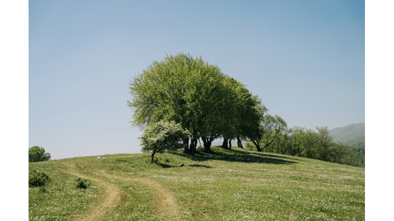 BUBBLE30 HERKESİ DÜŞÜNÜR VE ONLAR İÇİN DE İÇERİK HAZIRLAR: TATİLDE KÖYE GİDENLER DE VARDIR