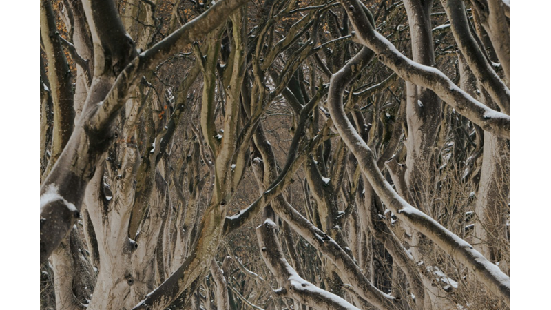 BAZEN HAYAT ARKA ARKAYA DEĞİL DE ÜST ÜSTE GELİYOR VE BEN BU DURUMU SEVMİYORUM