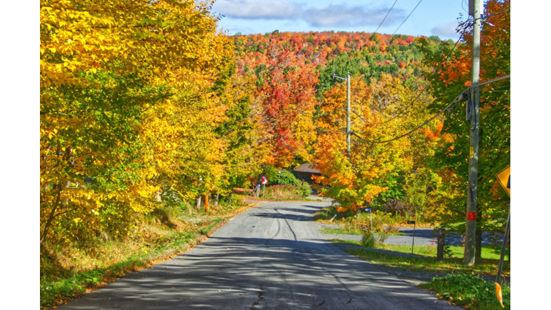SONBAHARIN EN SEVDİĞİM YANLARINDAN BİRİNE YAKINDAN BAKALIM