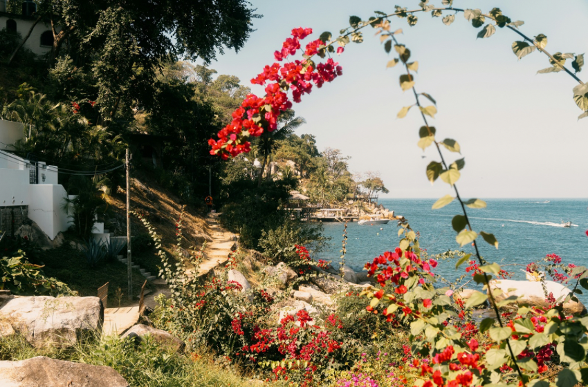 BU SOĞUK KIŞ GÜNLERİNDE YAZ AYLARINI VE ÖZELLİKLERİ RENKLERİNİ ÇOK ÖZLEDİĞİMİ FARK ETTİM