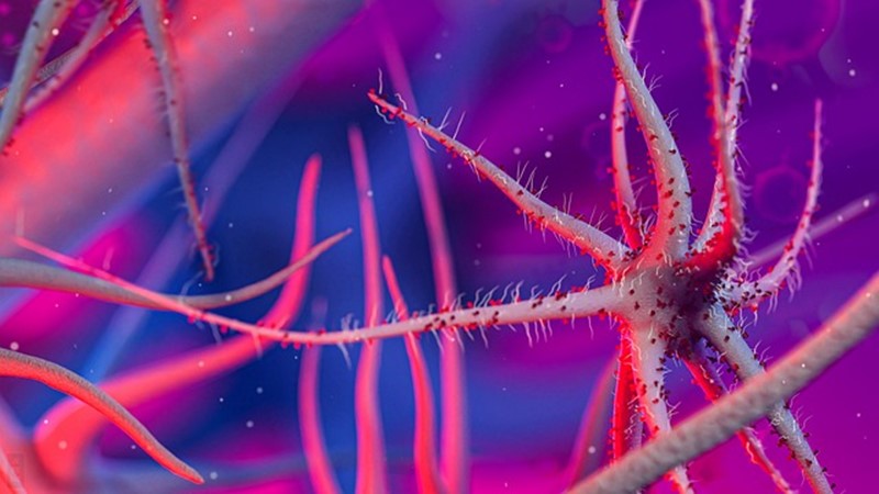 Mikro Kozmos Sonsuz Mu?