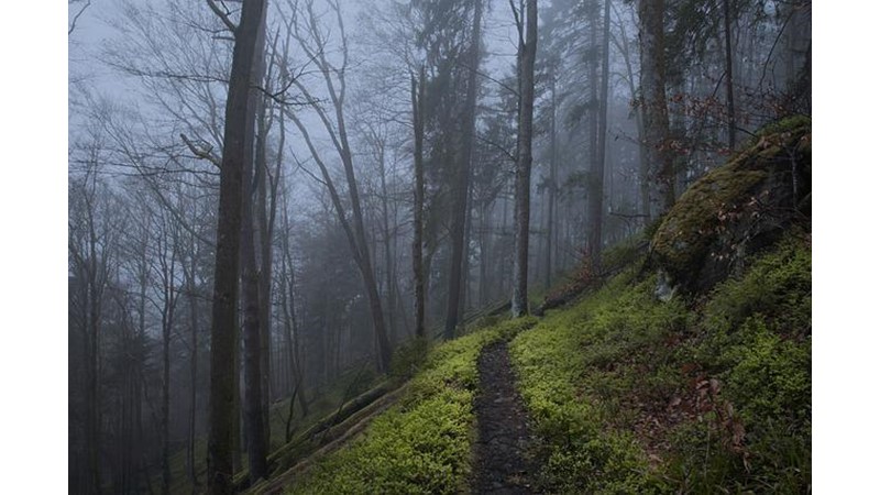 Anadolu’daki Batılı Barbarlar (VII)
